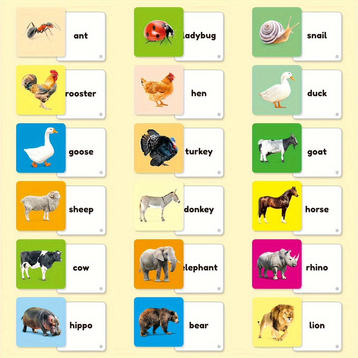 Tarjetas didácticas de animales Teeny Baby®: 54 tarjetas con imágenes vibrantes de animales y palabras en inglés para el aprendizaje temprano
