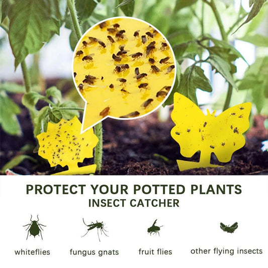 Insect Glue Catcher Paper, Pegajoso Amarelo Pegajoso Fly Trap, Moscas de frutas, Aphids Glue Catcher, 40pcs