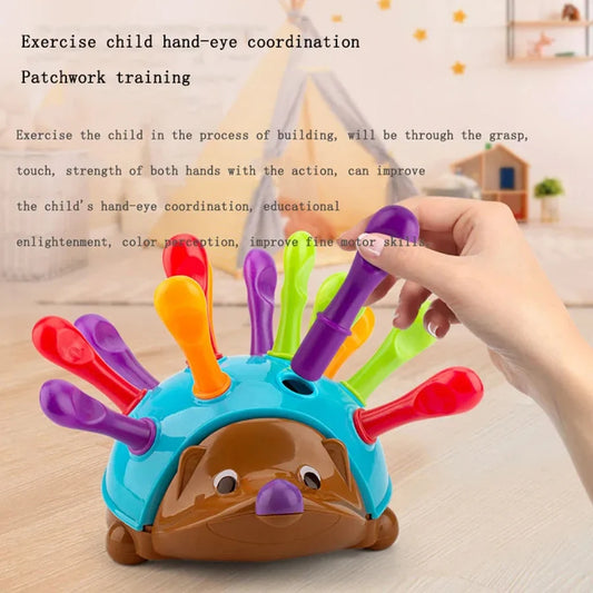 Ouriço Montessori Brinquedos para o Bebê, Treinamento de Concentração, Educação Infantil, Fine Motor e Brinquedos Sensoriais, Ortografia, Pouco