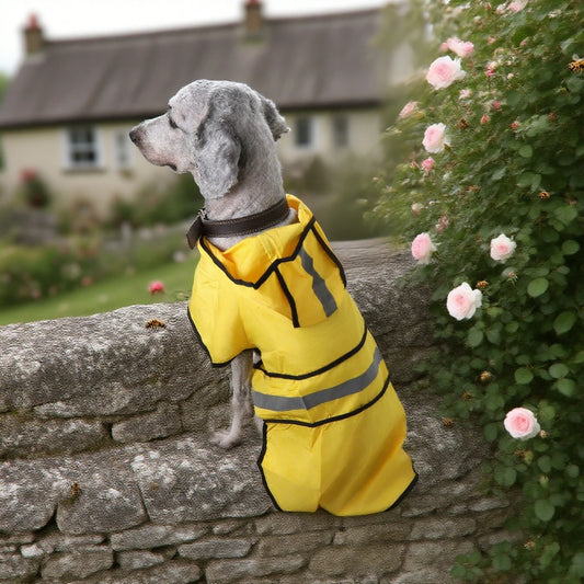 1PC Dog Raincoat for Rainy Season Multiple Colors and Sizes Available Includes Hood Design