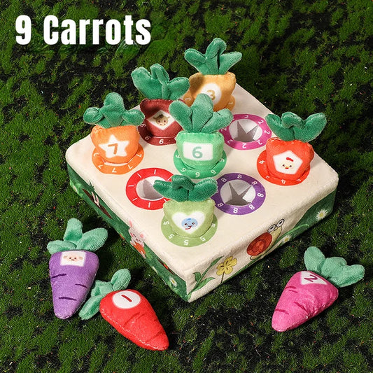 Montessori Fine Motor Skills Toy Training for Babies, Color Learning, Educational Toys for Toddlers, Preschool Sensory Activity