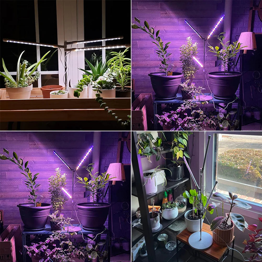 10w 72 led planta crescer luz usb phyto lâmpada espectro completo regulável 3/9/12h temporizador phytolamp para mudas flor ajustável usb