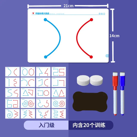 Brinquedo de Desenvolvimento do Cérebro Inteiro para Crianças Treinamento de Pensamento do Cérebro Inteiro Treinamento Motor Educacional Aids Puzzle Brinquedo de Formas de Cor 20PCs
