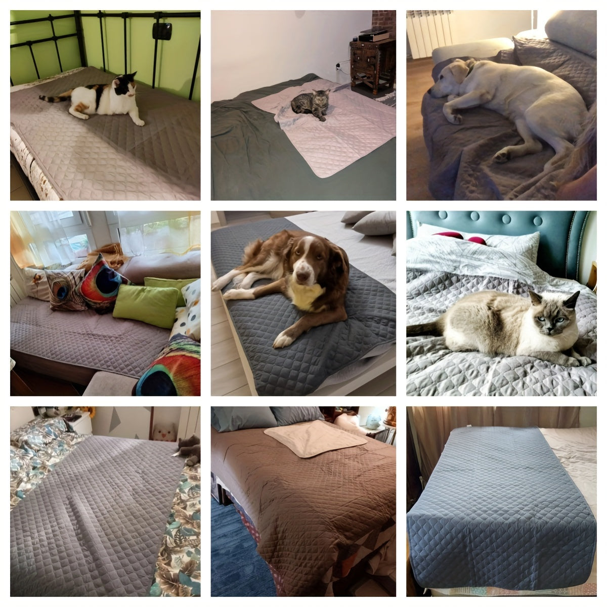 Funda de cama impermeable y antideslizante para perros, funda de colchón y manta para mascotas, alfombrilla para sofá, protector de colchón para incontinencia en el coche, funda de sofá para la mayoría de gatos y perros.