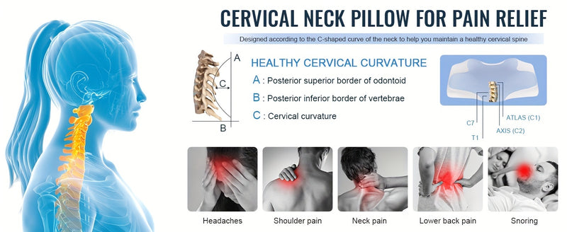 Sleeping Neck Pillow In Bed, Contour Memory Foam Pillow for Neck Pain Relief, with Washable Breathable Pillow Case, Ergonomic Neck Support Pillow, Suitable for Side, Back And Belly Sleepers,, Adjustable Orthopedic Ergonomic C