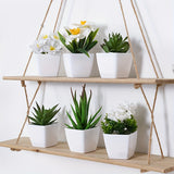 1SET-6pcs Simulation Plant Pot Set, Suitable for Home, Table Center Decoration, Office Desktop Decoration, Real Touch, Artificial Mini Succulent Pot