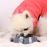 Premium Stainless Steel Pet Bowl - Non-Slip, Easy To Clean, Perfect For Dog And Cat Food And Water, Available In Three Sizes