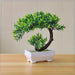 Green-coral