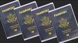 Frosted Clear Passport Cover, Transparent PVC Passport Holder, Creative Travel Certificate Document Organizer