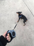 Durable Double Switch Retractable Pet Leash For Dogs - Easy Control And Comfortable Grip