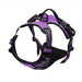 Dark Violet