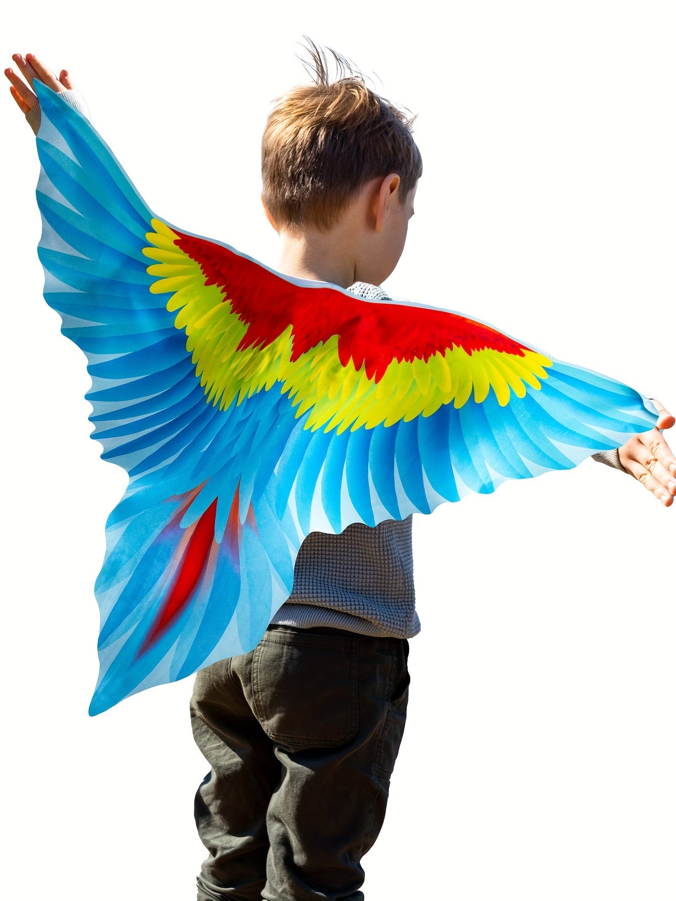 2pcs Boy's Bird Wings Cape Imitation Parrot-Wings Clothes + Mask Suit, Perfect For Birthday, Halloween And Carnival Party Playing & Performance