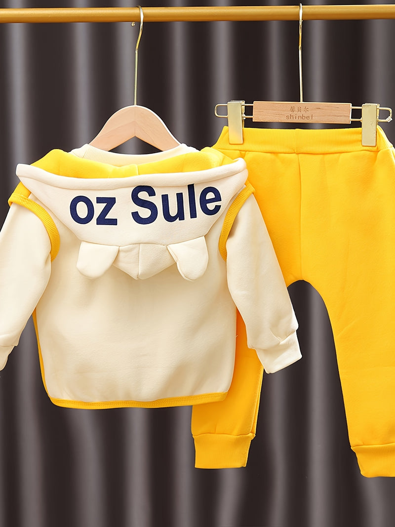 Conjunto de tres piezas de abrigo con capucha de terciopelo de doble cara para niñas pequeñas con dibujos de oso, sudadera y pantalones, para otoño e invierno, con gorro grueso y casual, para exteriores.