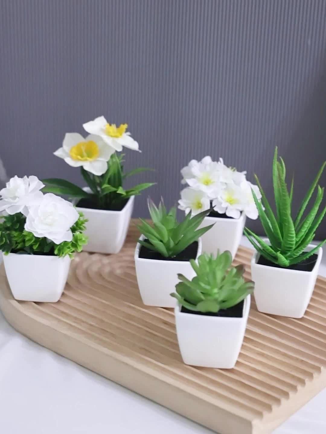 1SET-6pcs Simulation Plant Pot Set, Suitable for Home, Table Center Decoration, Office Desktop Decoration, Real Touch, Artificial Mini Succulent Pot