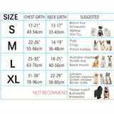 Arnés y correa reflectantes antitirones para perros con dispensador de bolsas para excrementos. Chaleco Oxford acolchado suave y ajustable con asa de fácil control para perros medianos y grandes. Ideal para entrenamiento y paseos al aire libre.