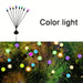 Color light