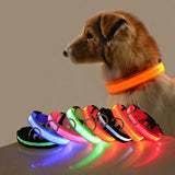 Collar LED que brilla en la oscuridad para perros pequeños y medianos. Mantén a tu mascota segura y visible durante los paseos nocturnos.