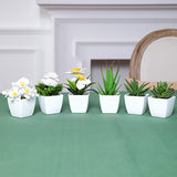 1SET-6pcs Simulation Plant Pot Set, Suitable for Home, Table Center Decoration, Office Desktop Decoration, Real Touch, Artificial Mini Succulent Pot