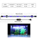 58cm Blue-White Light