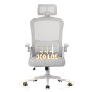 Naspaluro Ergonomic Office Chair Desk Chair with Headrest Breathable Mesh Cover Lumbar Support Computer Chair 360 ° Swivel Chair