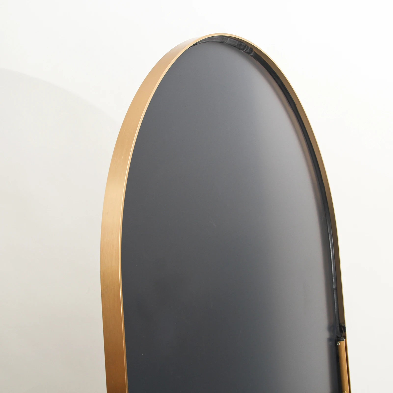 Anajqaqia 162×53cm Full Body Mirror, Curved Standing Mirror, Floor Mirror with Tempered Glass and Aluminum Alloy Frame