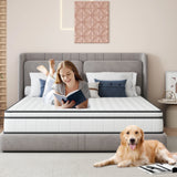 Rosahqnda 7-zone spring mattress 25 cm high pocket jump mattress medium solid orthopedic barrel bag jump mattress