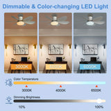 40W Socket Fan Light, 21.5" Screw Ceiling Fan with Light and Remote, E27 Socket Fan with LED for Bathroom, Bedroom, Kitchenfor
