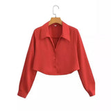 2023 New Summer European and American Style Women's Long-sleeved Silk Shirt Fashion Blouse 1530 