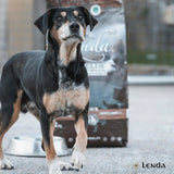 Lenda Senior Mobility 12 kg - Natural Dog Food for Senior Dogs, Rich in Turkey with Joint Support Ingredients like Glucosamine and Chondroitin, Promotes Healthy Weight Control and Digestive Health.