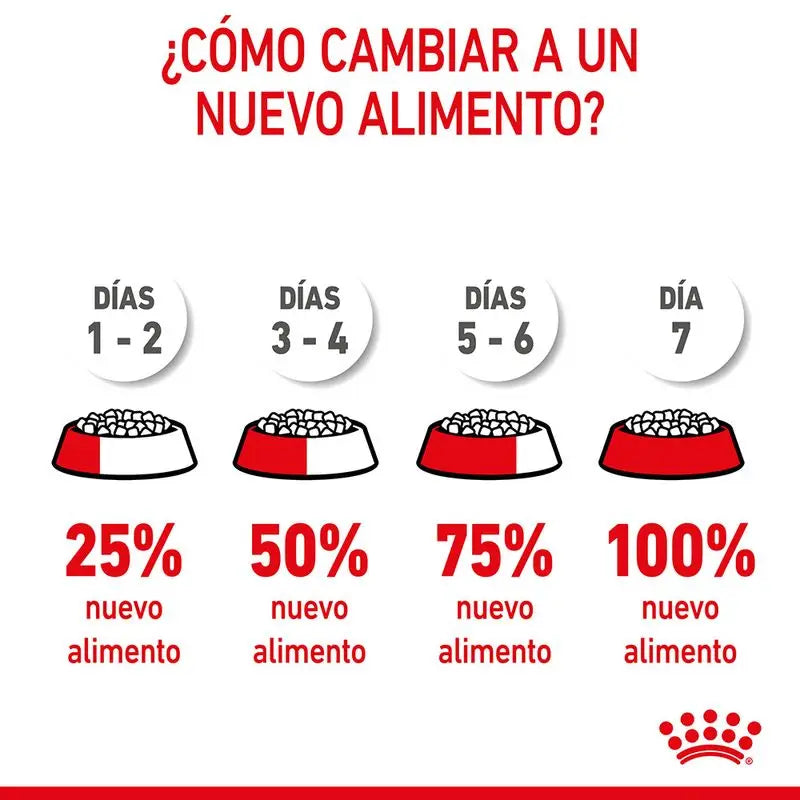Royal Canin Mini Puppy 8KG dog food for small breed puppies up to 10 kg, with balanced nutrition, high energy for growth, and enriched with vitamins C and E for immune support and digestive health.