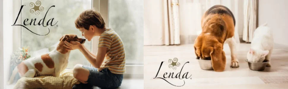 Lenda Senior Mobility 12 kg - Natural Dog Food for Senior Dogs, Rich in Turkey with Joint Support Ingredients like Glucosamine and Chondroitin, Promotes Healthy Weight Control and Digestive Health.