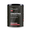 Pure creatine monohydrate powder - 500g zenement