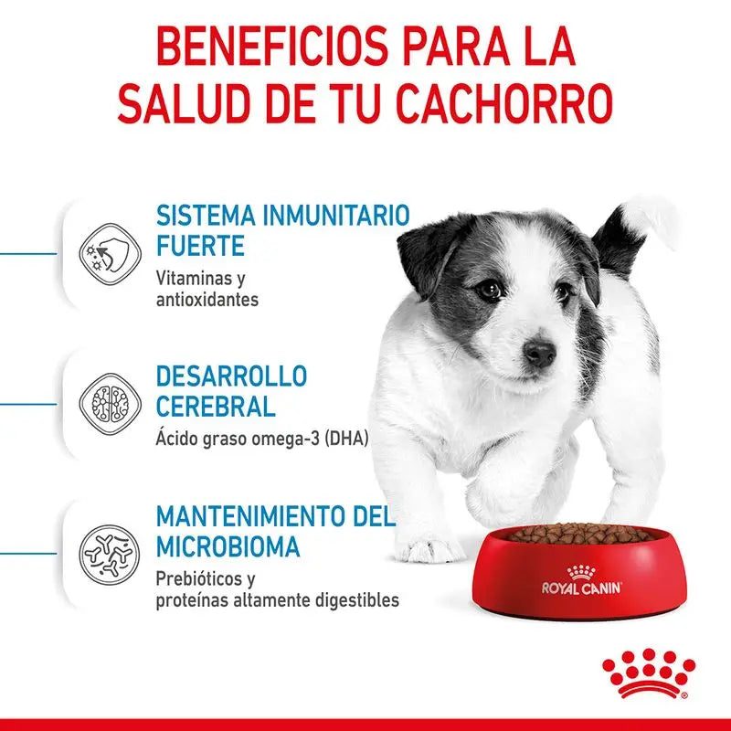 Royal Canin Mini Puppy 8KG dog food for small breed puppies up to 10 kg, with balanced nutrition, high energy for growth, and enriched with vitamins C and E for immune support and digestive health.