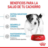 Royal Canin Mini Puppy 8KG dog food for small breed puppies up to 10 kg, with balanced nutrition, high energy for growth, and enriched with vitamins C and E for immune support and digestive health.