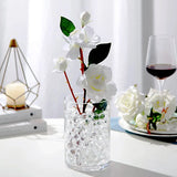 Grow in Water Beads Gel Magic Balls, Clear Pearl for Flowers, Vase, Wedding, Home Decor, Crystal Clear Soil Muds, 3,000 pcs 