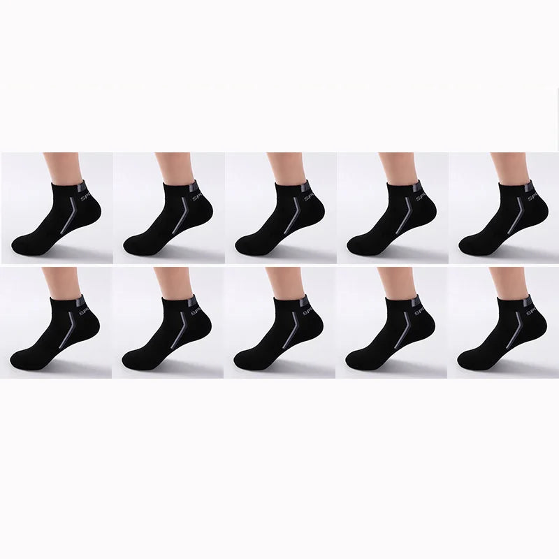 50356955349319|50356955513159|50356955545927