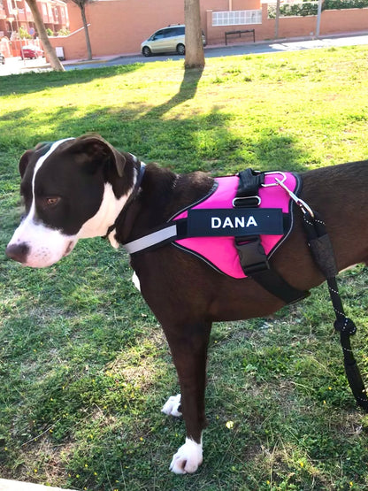 Dog Harness Vest ID Patch Customized Reflective Breathable Adjustable Pet Harness For Dog NO PULL Pet Outdoor Harness