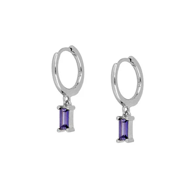 CANNER 925 Sterling Silver French Punk Hip-Hop Geometric Small Hoop Earrings for Women Gold Silver Party Jewelry Accessories