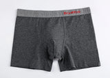 Brand Underwear Men Boxer Shorts For Men Panties Boxershorts Long Underpants Natural Cotton High Quality sexy homme hot calecon