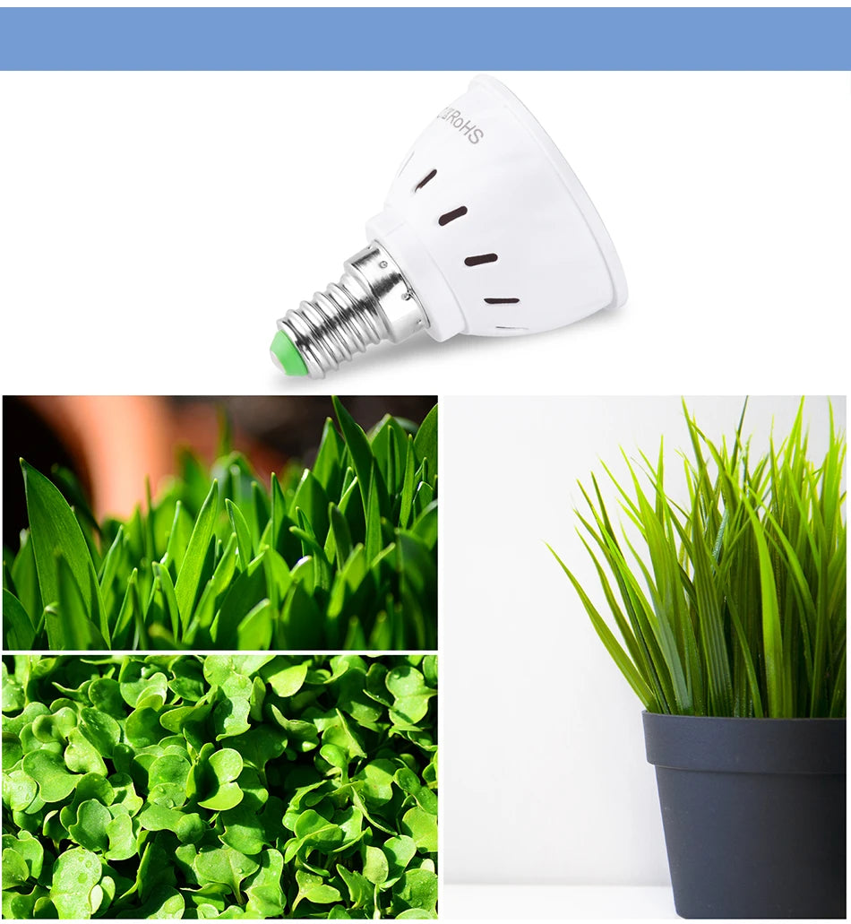 Phyto Led B22 Hydroponic Growth Light E27 Led Grow Bulb MR16 Full Spectrum 220V UV Lamp Plant E14 Flower Seedling Fitolamp GU10