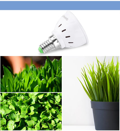 Phyto Led B22 Hydroponic Growth Light E27 Led Grow Bulb MR16 Full Spectrum 220V UV Lamp Plant E14 Flower Seedling Fitolamp GU10