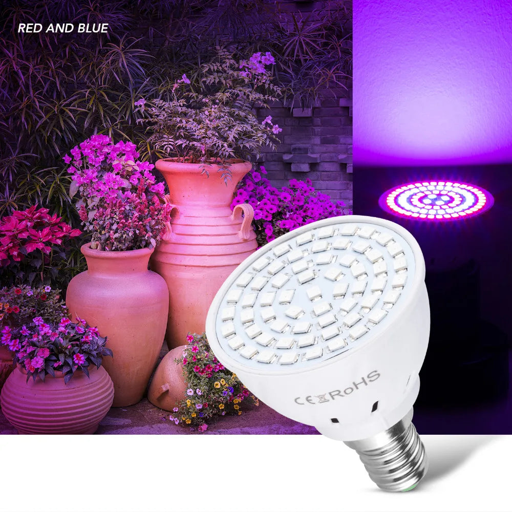 80leds 220v led crescer lâmpada espectro completo led planta crescimento lâmpada iluminação interior crescer luzes plantas e27 sistema hidropônico crescer caixa