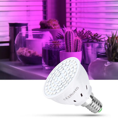 Phyto Led B22 Hydroponic Growth Light E27 Led Grow Bulb MR16 Full Spectrum 220V UV Lamp Plant E14 Flower Seedling Fitolamp GU10