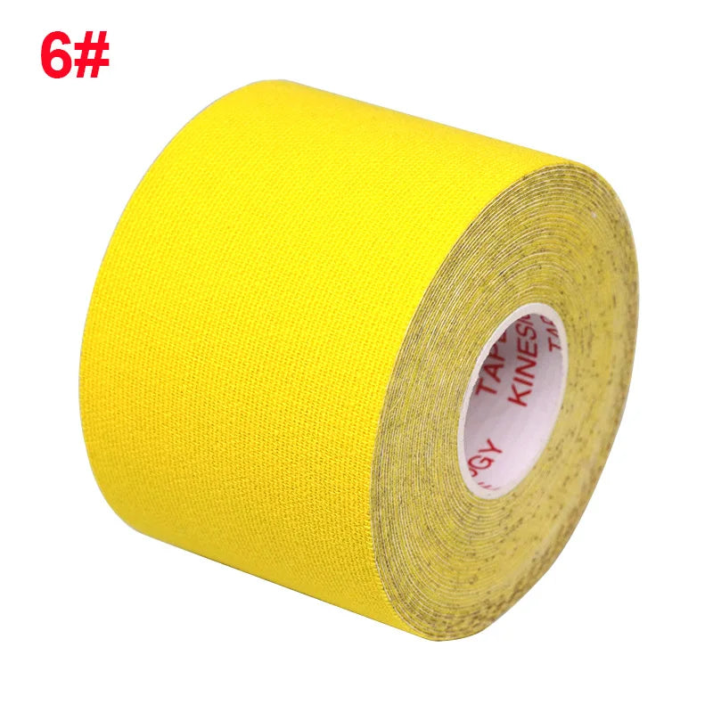 50341204328775|50341204361543|50341206131015|50341206163783|50341206196551