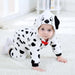 Dalmation