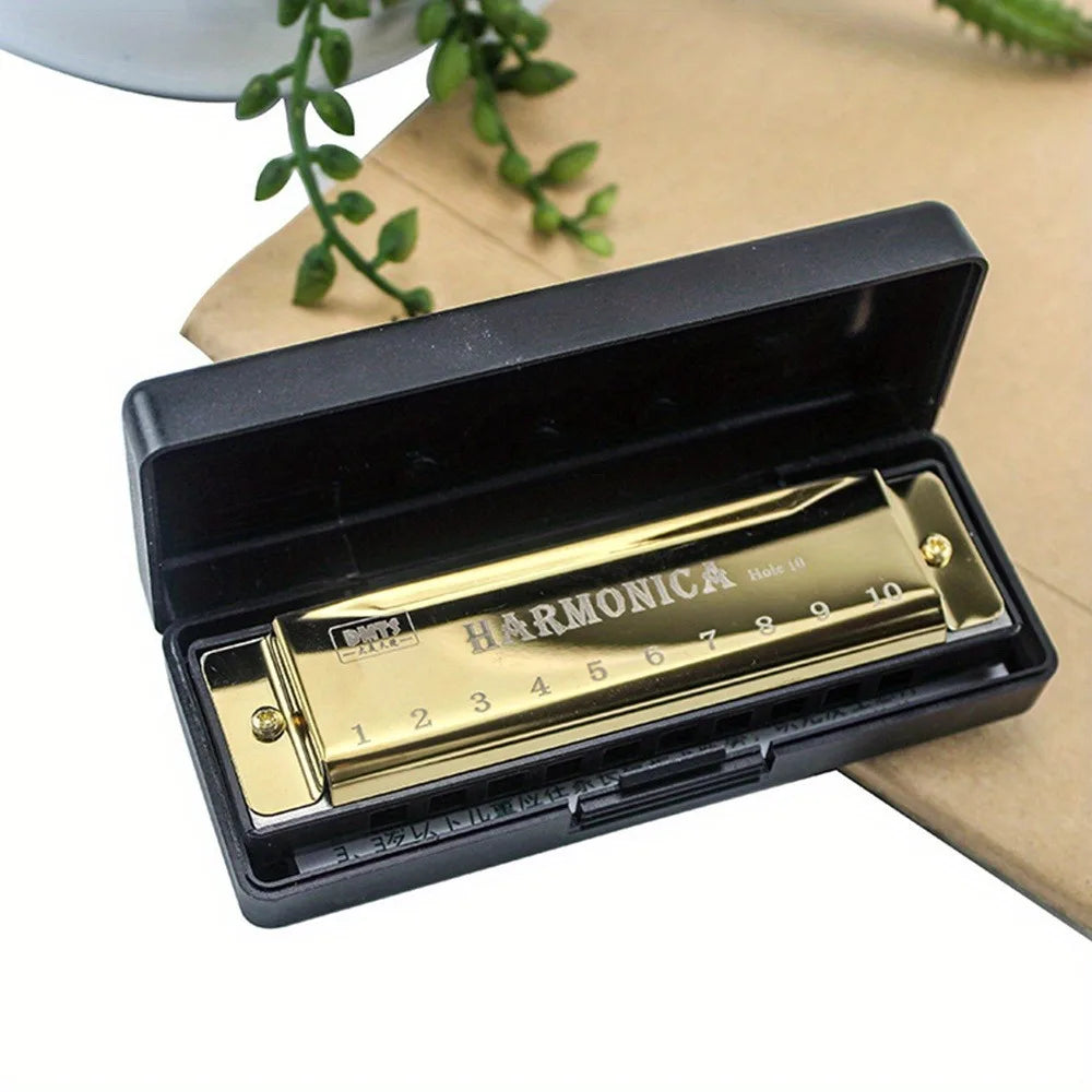 Harmonica cromática com estojo para iniciantes, chave de C, 10 buracos, presente para estudantes e crianças