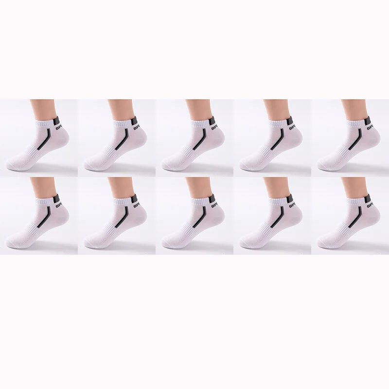 50356955054407|50356955087175|50356955251015