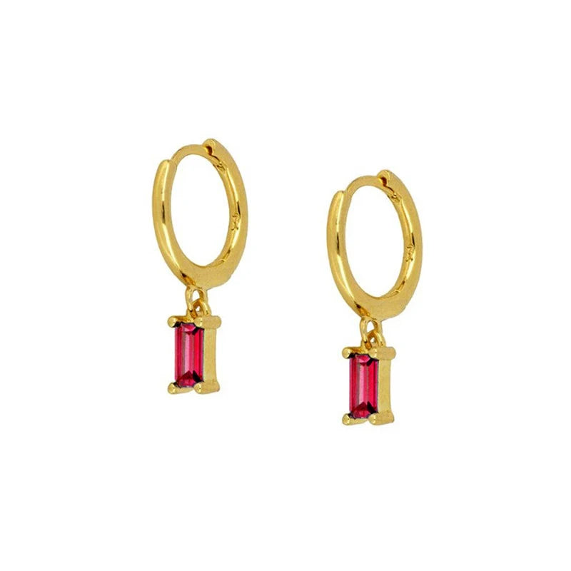 CANNER 925 Sterling Silver French Punk Hip-Hop Geometric Small Hoop Earrings for Women Gold Silver Party Jewelry Accessories