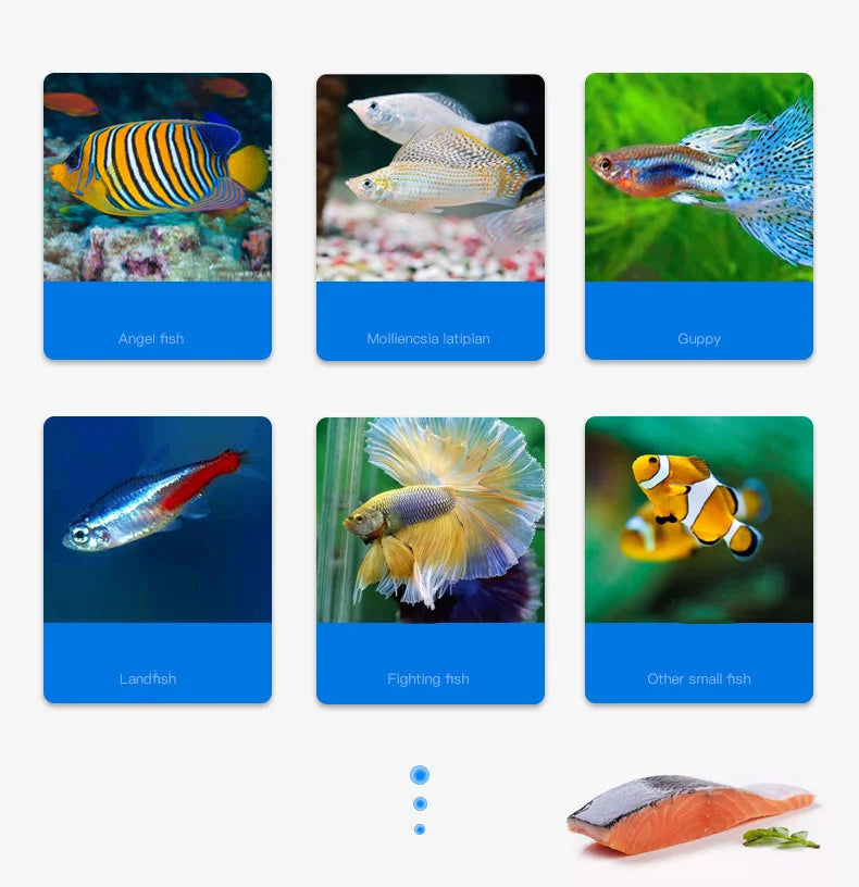 YEE Fish Tank Feed Guppy Lamp Family Fish Betta Small Tropical Fish Traffic Light Fish Aquarium Food