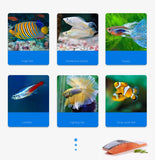 YEE Fish Tank Feed Guppy Lamp Family Fish Betta Small Tropical Fish Traffic Light Fish Aquarium Food